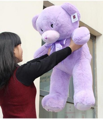 purple colour teddy